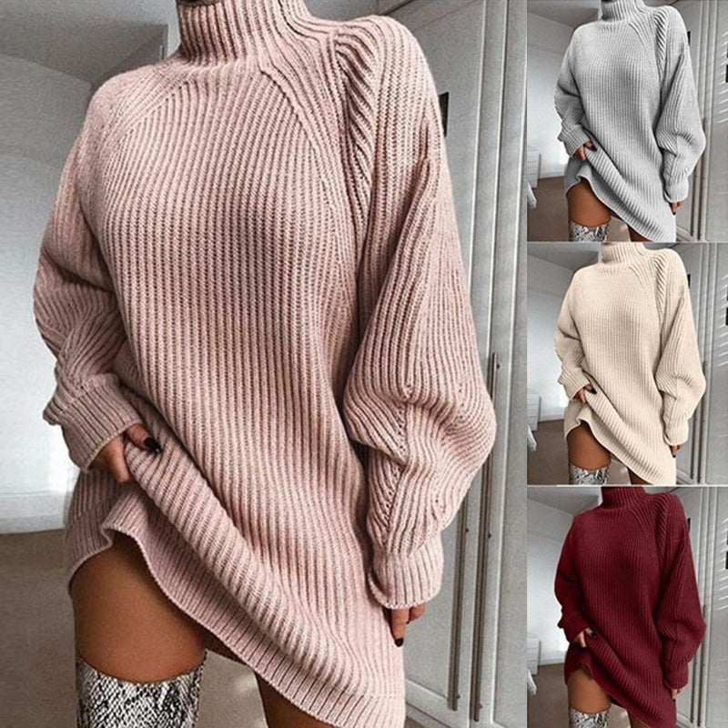 Solid Turtleneck Long Sweater